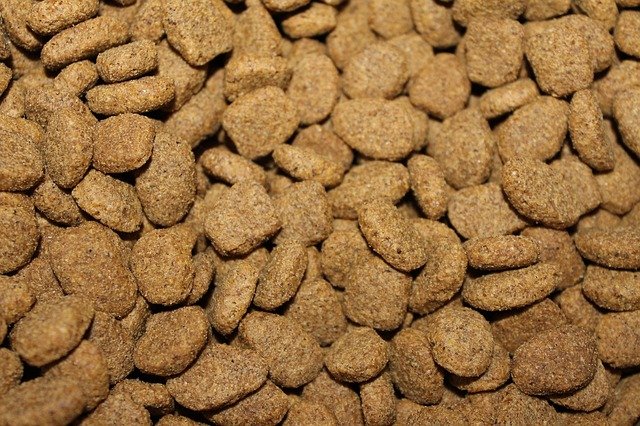 The Dangerous Link Between Grain-Free Dog Food and Heart Disease