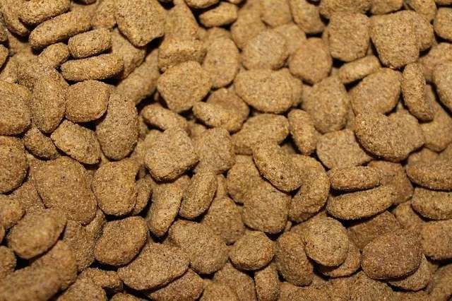 kibble-855419_640(1) Grain-free diets can cause heart disease in dogs.
